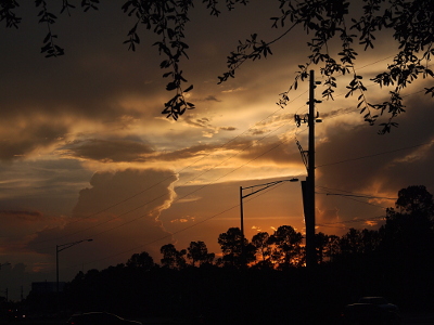 [There are leaves in the foreground hanging from the tree overhead which provides some darkness to the light-colored sky in the distance. Much of the sky is covered with white to light-grey clouds, but there are some openings of blue. The sun has already set behind the trees in the background creating a yellow-orange backdrop to the oulines of the trees and light posts.]